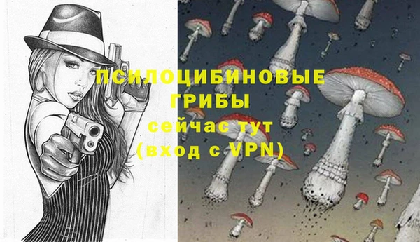 гидра Белоозёрский