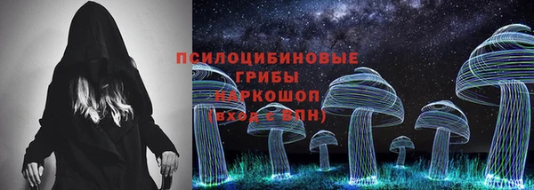 гидра Белоозёрский
